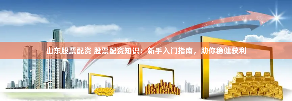 山东股票配资 股票配资知识：新手入门指南，助你稳健获利
