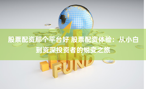 股票配资那个平台好 股票配资体验：从小白到资深投资者的蜕变之旅