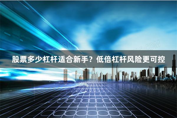 股票多少杠杆适合新手？低倍杠杆风险更可控