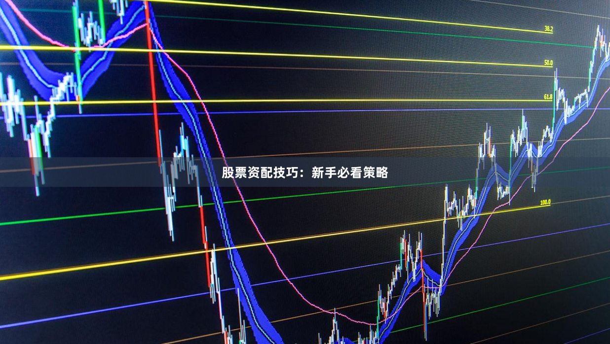 股票资配技巧：新手必看策略