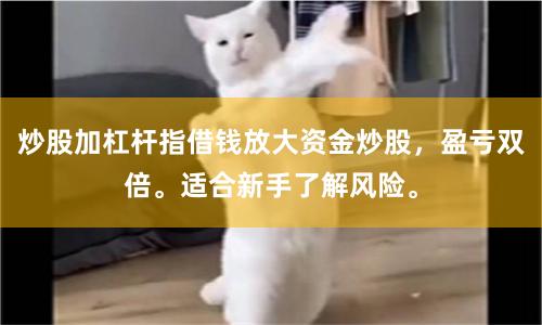 炒股加杠杆指借钱放大资金炒股，盈亏双倍。适合新手了解风险。